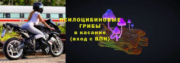 ПСИЛОЦИБИНОВЫЕ ГРИБЫ Алексин