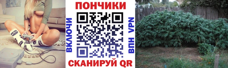 Бошки марихуана семена  Нерехта 